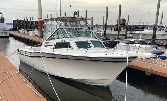 1989 Grady-white sailfish